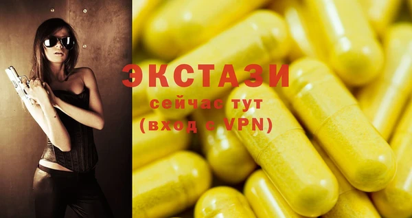 СК Алексин