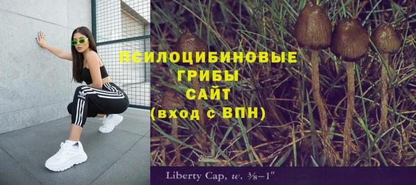 соль ск Алексеевка