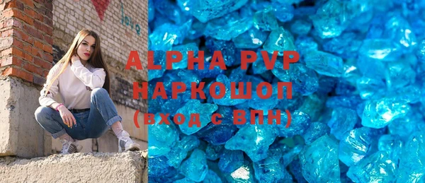 СК Алексин