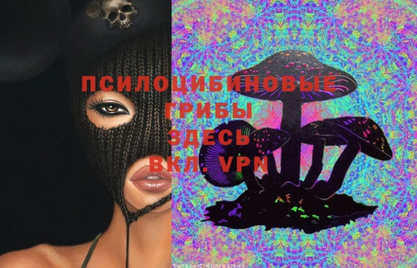 соль ск Алексеевка