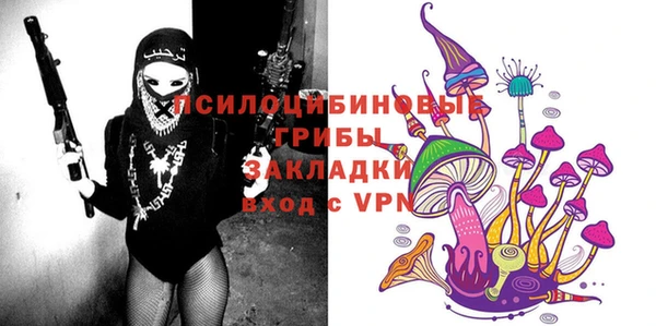 круглые Алзамай