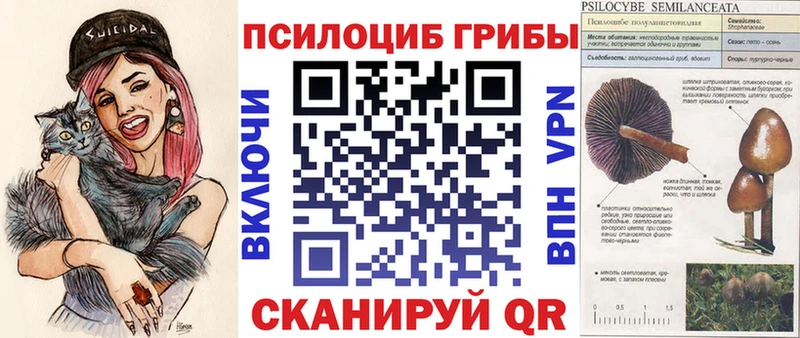 хочу наркоту Алдан mega маркетплейс Галлюциногенные грибы Magic Shrooms